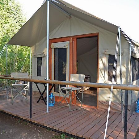 The Wild Olive Tree Camp Hotel Welverdiend  Szoba fotó