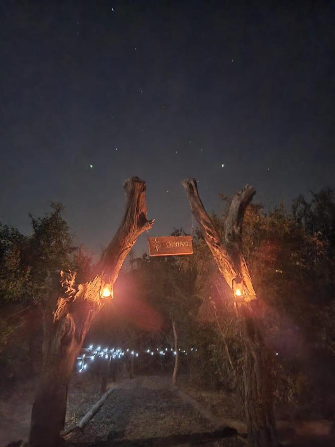 The Wild Olive Tree Camp Hotel Welverdiend  Kültér fotó