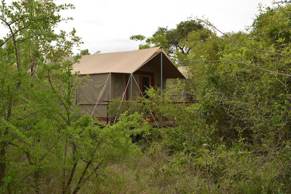 The Wild Olive Tree Camp Hotel Welverdiend  Kültér fotó